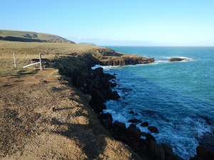 Slope Point - Nugget Point Lighthouse-012